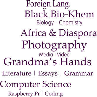 Photography Media | Video Africa & Diaspora  Black Bio-Khem Biology - Chemistry Grandma’s Hands Literature | Essays | Grammar  Computer Science Raspberry Pi | Coding  Foreign Lang.